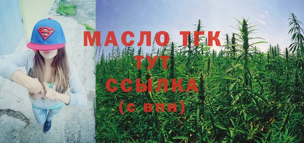 ГАЛЛЮЦИНОГЕННЫЕ ГРИБЫ Михайлов