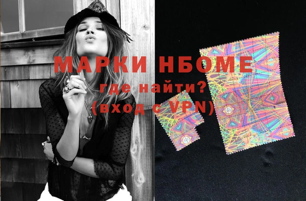 шишки Медвежьегорск