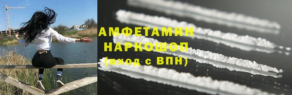 ГАЛЛЮЦИНОГЕННЫЕ ГРИБЫ Михайлов