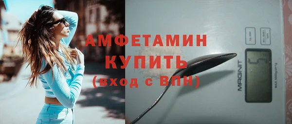 ГАЛЛЮЦИНОГЕННЫЕ ГРИБЫ Михайлов