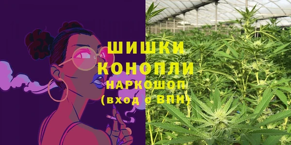 шишки Медвежьегорск