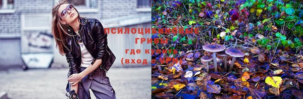 кокаин премиум Михайловка