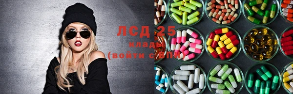 шишки Медвежьегорск