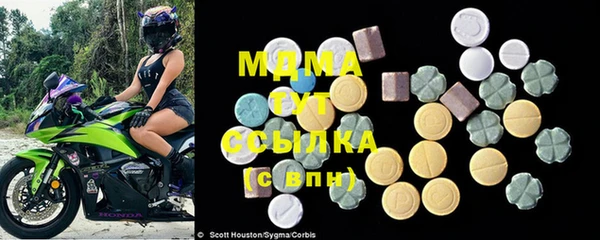 ГАЛЛЮЦИНОГЕННЫЕ ГРИБЫ Михайлов