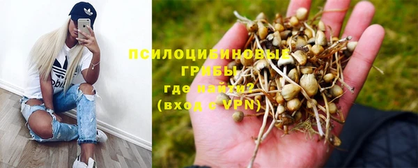 каннабис Михайловск