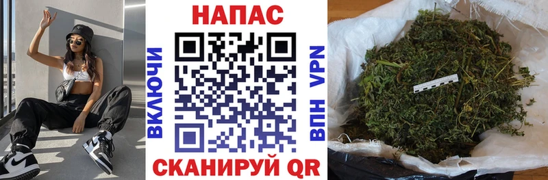 Бошки Шишки тримм  закладка  Нижний Ломов 